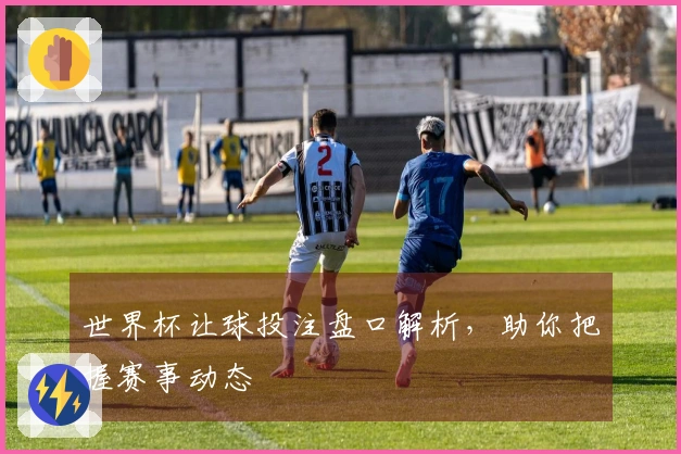 世界杯让球投注盘口解析，助你把握赛事动态