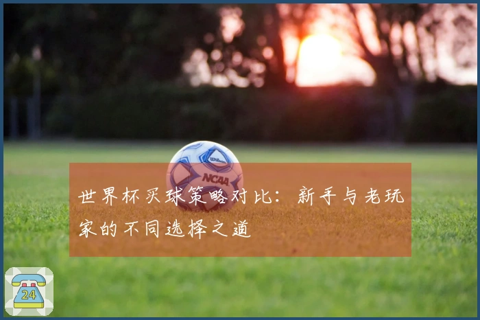 世界杯买球策略对比：新手与老玩家的不同选择之道