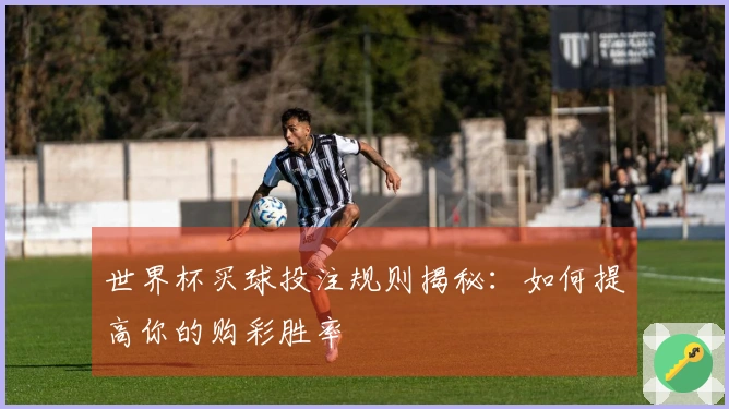 世界杯买球投注规则揭秘：如何提高你的购彩胜率