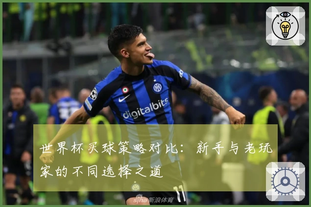 世界杯买球策略对比：新手与老玩家的不同选择之道