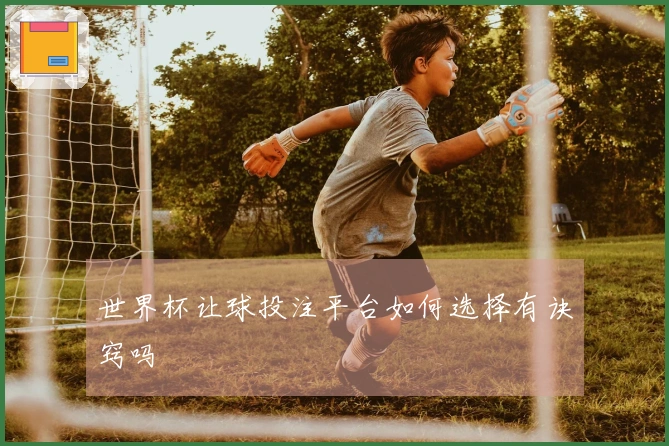 世界杯让球投注平台如何选择有诀窍吗