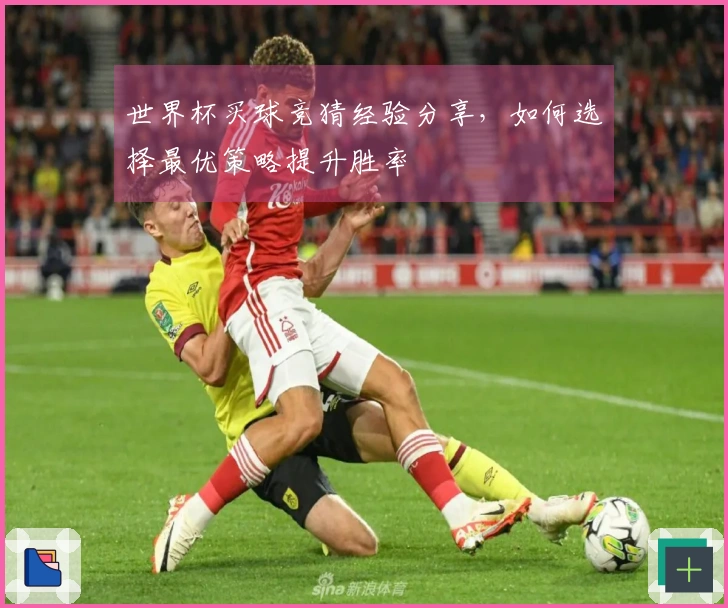世界杯买球竞猜经验分享，如何选择最优策略提升胜率