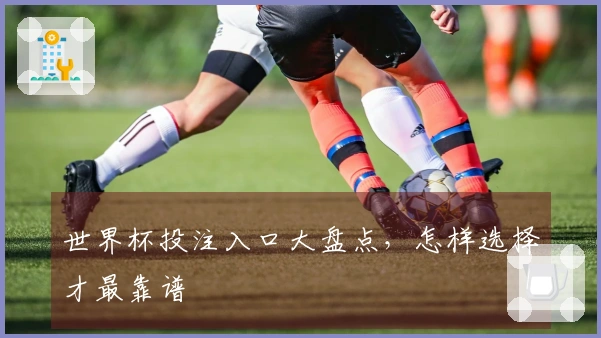 世界杯投注入口大盘点，怎样选择才最靠谱