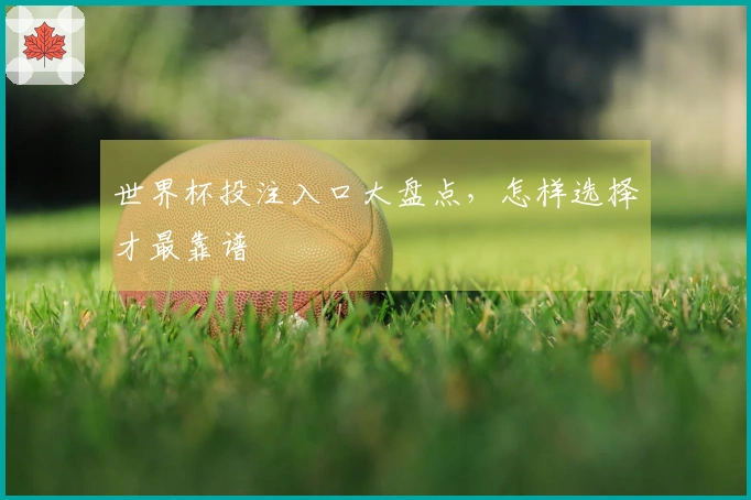 世界杯投注入口大盘点，怎样选择才最靠谱